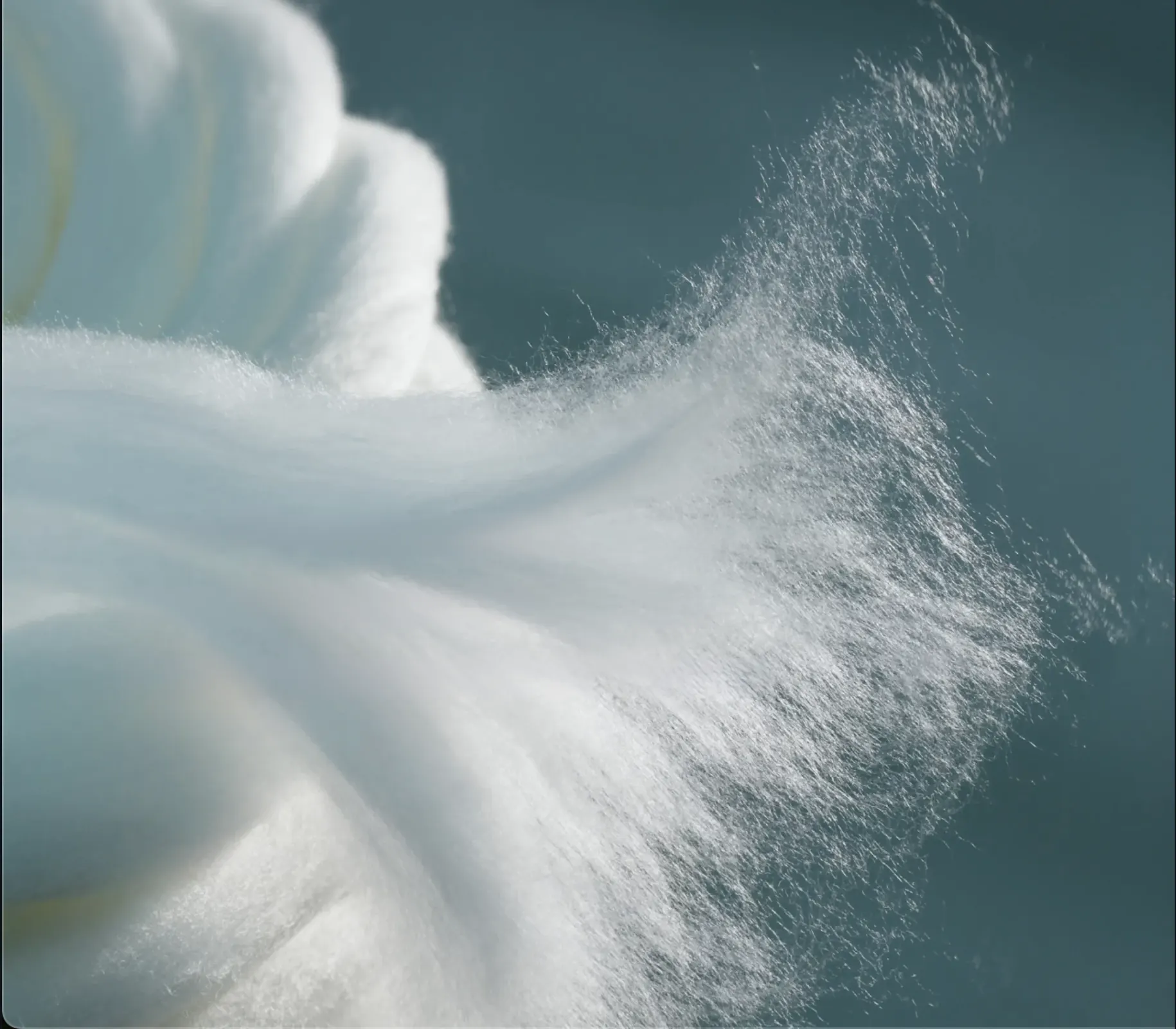 La matière première d'origine naturelle BB Distribe